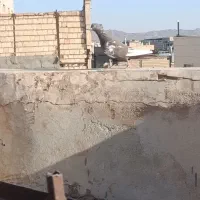 کفتر|پرنده|تربت‌حیدریه, حسنی بالا|دیوار