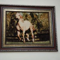 تابلو فرش دست بافت|تابلو فرش|پرند, فاز ۵|دیوار