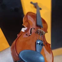 ویولون حرفه ای (پاساژ مرکزی طبقه بالا)