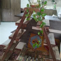 استند چوبی  وگل وگلدون طبیعی ومصنوعی|گل و گیاه طبیعی|شیراز, شهرک گلستان|دیوار