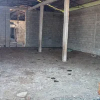 مشارکت در گاوداری پرواربندی گوساله گاوداری شخصی|مشارکت در ساخت املاک|تهران, ائمه اطهار|دیوار