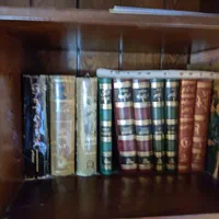 کلیه کتاب های. یک کتابخانه