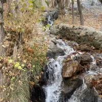 اجاره ی روزانه ویلا دماوند ( ایینه ورزان)|اجارهٔ کوتاه‌مدت ویلا و باغ|تهران, تهرانپارس شرقی|دیوار