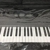 میدیلی مدلی medeli dante|پیانو، کیبورد، آکاردئون|ایلام, |دیوار