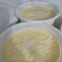 ماست درجه یک گاومیش