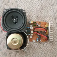 برد و قطعات بلندگو میکرولب