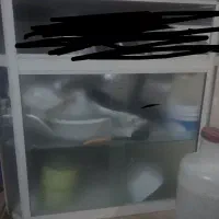 ویترین مغازه|بوفه، ویترین، کنسول|زابل, |دیوار