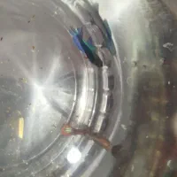 ماهی فایتر ماده ابی و قرمز