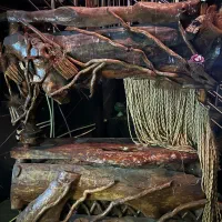 میز بار کافه|کافی‌شاپ و رستوران|نسیم‌شهر, |دیوار