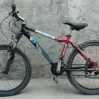 دوچرخه حرفه ای