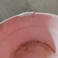 سبدولگن|ظروف نگهدارنده، پلاستیکی، یکبارمصرف|زاهدان, |دیوار