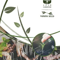 بسته بندی خانم و آقا