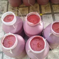 رب گوجه