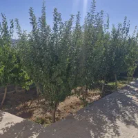 ویلا آماده با شرایط پرداخت اقساطی دماوند آبسرد|فروش خانه و ویلا|تهران, تهرانپارس شرقی|دیوار