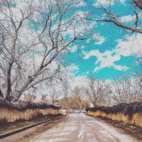 زمین-باغ-شهری-1100متری-دهنو-قلندری