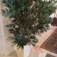 گلدان به همراه گل نو