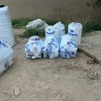 مخزن آب با بیمه معتبر گالن بشگه پلاستیک مقوایی فلز|عمده‌فروشی|تهران, مولوی|دیوار