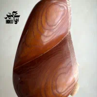 نوای آسمانی|سازهای سنتی|گلبهار, شهر جدید گلبهار|دیوار