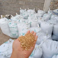 1تن گندم کیلویی 480000