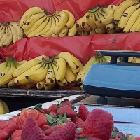 تعدادی کارگر ساده روزانه 1 میلیون