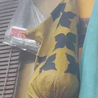 نی همبون سالم|سازهای بادی|بندرعباس, |دیوار