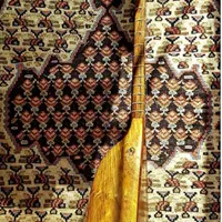 آموزش خصوصی موسیقی  ( تار  سه تار   تنبور)|خدمات آموزشی|صدرا-فارس, |دیوار