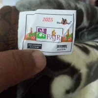 کالای خواب آیهان|رختخواب، بالش، پتو|جیرفت, |دیوار