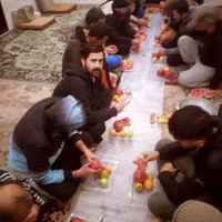 کمپ ترک اعتیاد ققنوس