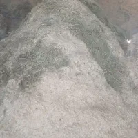 کاه سفید و کاه یونجه درجه 1