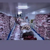 پخش عمده سوسیس کالباس کیتو