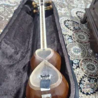 تار لطفی|سازهای سنتی|کرج, حیدرآباد|دیوار