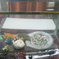 آکواریم