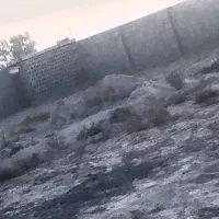 باغ چاهبردی|فروش دفتر صنعتی، کشاورزی، تجاری|بندر گناوه, |دیوار