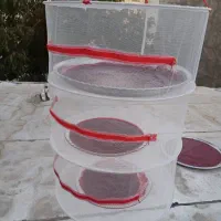 میوه وسبزی خشک کن توری