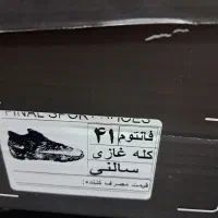 کفش،اسپرت سالنی|کیف، کفش، کمربند|شیراز, هفت تنان|دیوار