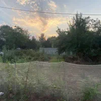 ۳۰۰ متر زمین مسکونی دو بر|فروش زمین و ملک کلنگی|گوراب زرمیخ, |دیوار