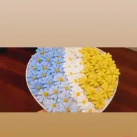 قند و نبات گیاهی ورنگی