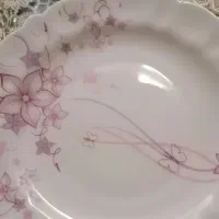 سرویس ارکوپال  ۴۰ تکه