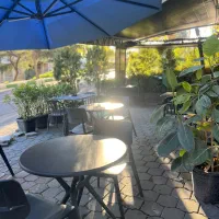 باریستا شیفت عصر