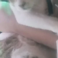 اسیاباد لین ۹ پلاک۷۰