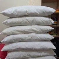 بالشت