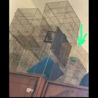 عنوان قفس پرنده