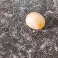 سنگ|جواهرات|نظرآباد, صالح آباد|دیوار