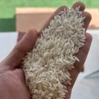 برنج هاشمی درجه یک آستانه اشرفیه