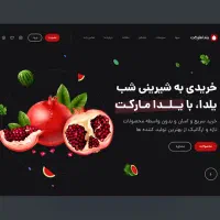 با طراحی سایت، فروش می‌سازیم...|خدمات رایانه‌ای و موبایل|اهواز, کیانپارس |دیوار