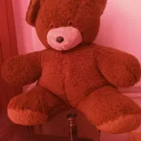 خرس بزرگ قهوه ای