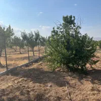 باغ شهر ساوالان با شرایط خوب