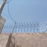تولید پخش انواع نرده حفاظ دیواری شاخ گوزنی دزدگیر|خدمات پیشه و مهارت|شیراز, احمدی جنوبی|دیوار