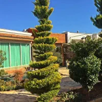 مغازه ۲۵ متری اول خیابان مردانی حسینی جدید