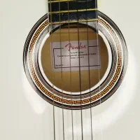 گیتار فندر کلاسیک|گیتار، بیس، امپلیفایر|فشاپویه, |دیوار